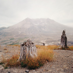 valscrapbook:  aftermath at mount st. helens