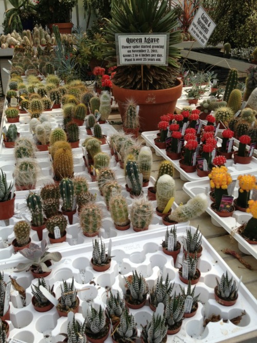 nyackbackyard:Otts Exotic Plants in Schwenksville PA is definitely one of the strangest, most wonder