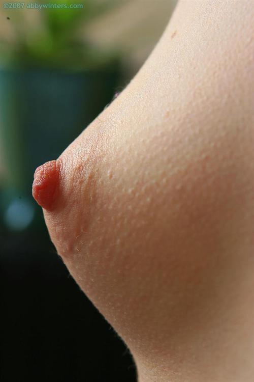 hot-nipples-nsfw:  Hottest Nipples on internet http://goo.gl/3sjvo9