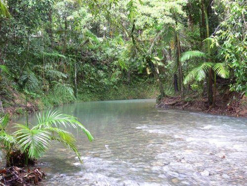 oceaniatropics: stuart creek, cow bay, queensland, australia