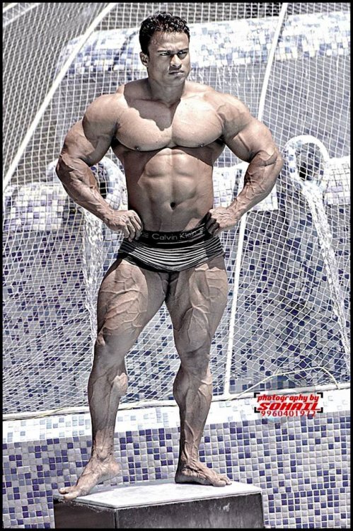 Vipin Peter