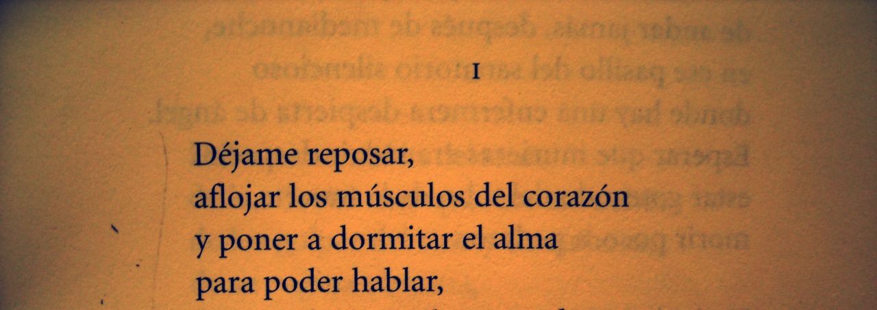 Hache de silencio