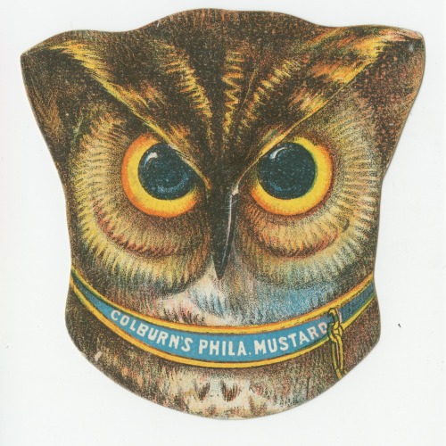 librarycompany:Happy Superb Owl Sunday! Here are some excellent owls for your viewing pleasure, very