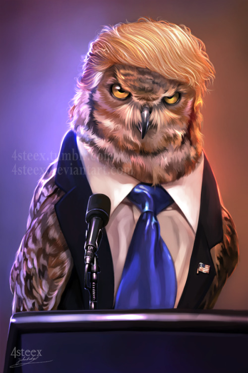 USA elections 2016 - Donowl Trump by 4steex&ldquo;make owlmerica great again!&rdquo;&hel