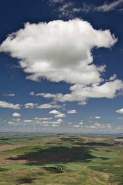 refluent:  From Steptoe Butte, The Palouse, Washington (von JC Richardson) 