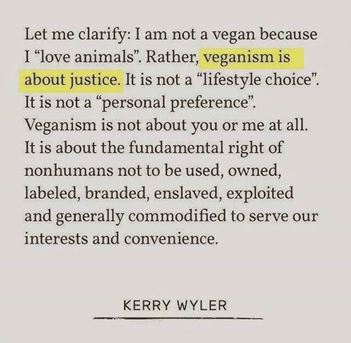 This Blogger Is Vegan.