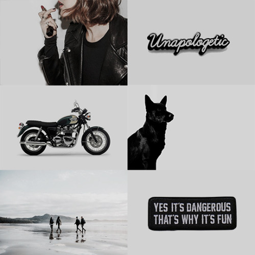 cerseilainnister:harry potter aesthetics: the marauders as a girl gang