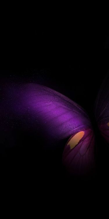 Samsung Galaxy Fold, butterfly, purple-pink-black Wallpaper @wallpapersmug : bit.ly/2EBfd6v -
