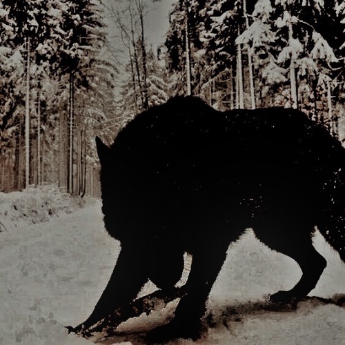 Norse Mythology From A To Z: