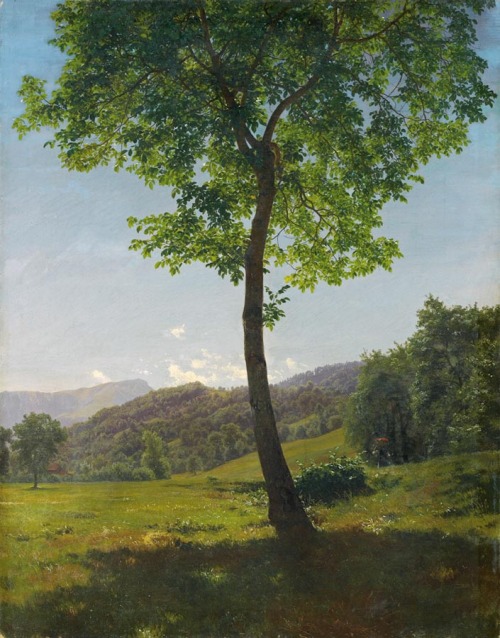 laclefdescoeurs:View to the Stanserhrn, Robert Zünd