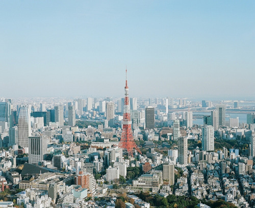 dreams-of-japan:  A HAPPY NEW YEAR by kiyoshimachine on Flickr.