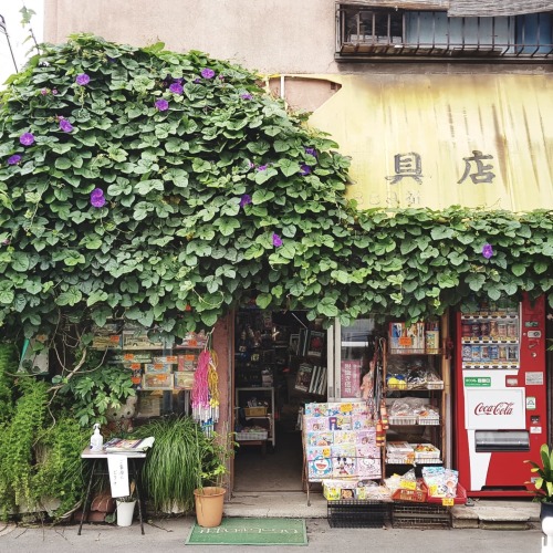 Storefronts of Japan