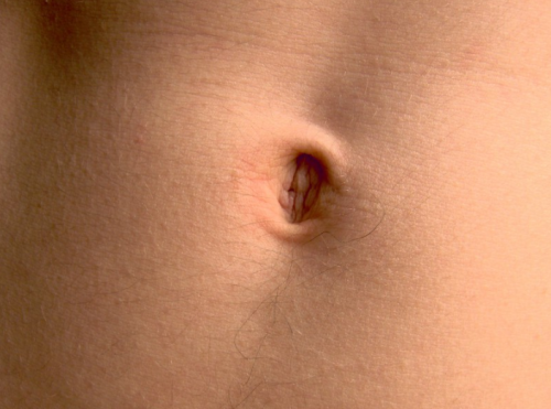 amnhnyc:Did you know? Your belly button is home to much, much more than just the occasional piece 