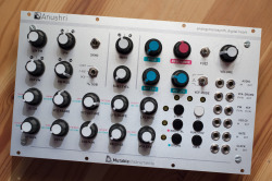 papernoize:  First prototype for the new Anushri Eurorack panel I’ve made for Mutable Instruments. More info about it, and pre-order here at the MI forums