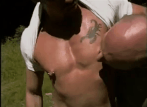 nipplestetonsgaybihetero:Nipples  Tétons