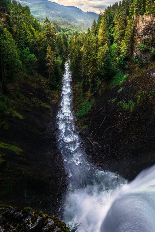 intotheclearing: by Artur Stanisz