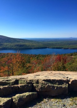 theencompassingworld:  annajewelsphotography: Acadia National Park - Maine - USA (by annajewelsphotography)  Instagram: annajewels   The World Around Us