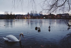 danielodowd:  Puigcerdà, La Cerdanya. @iohowells