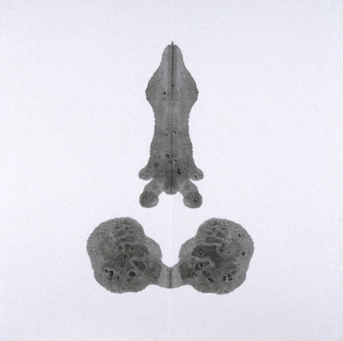 miss-catastrofes-naturales:  Cornelia Parker  Pornographic Drawing Series (1996) 