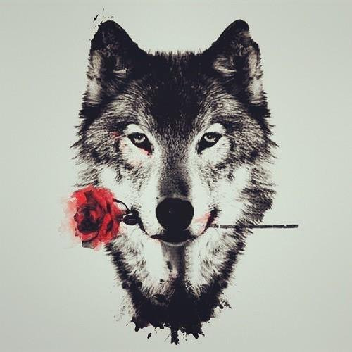 black-hair-17:  Red rose 🌹 metaphor 