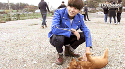 minseokked:  puppy taehyung with a puppy. 