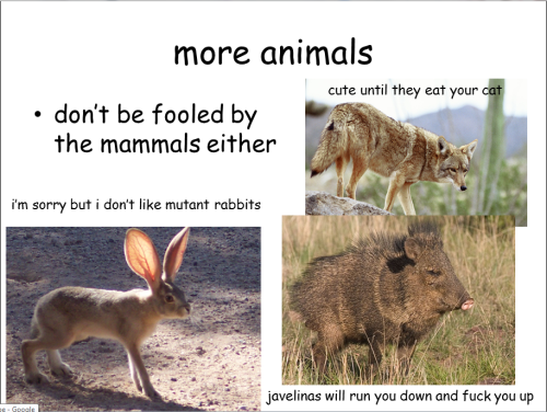 lolsofunny:  all you really need to know about arizona
