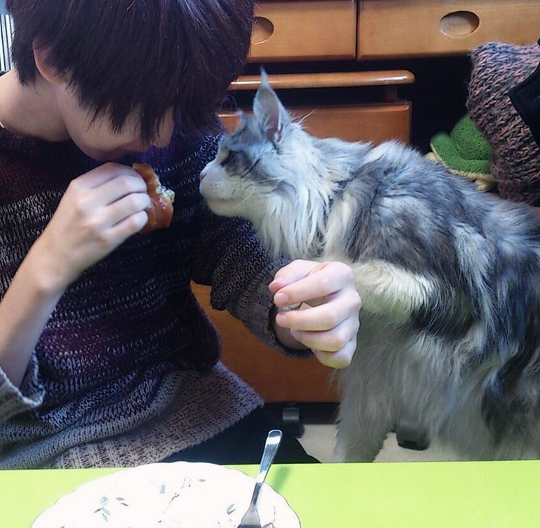 daijang:  winnie wants some stromboli  