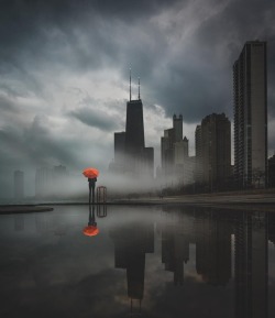 bigbeardedalphafitness:  archatlas:    Mike Meyers    Chicago is such a beautiful city. Glad to call it home