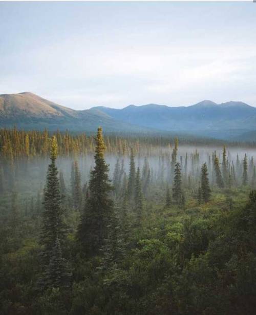 wanderlog:  Denali Highway. Photo: @johnwingfield #denali #nature #landscape #scenery #explore #travel #adventure #photography #wanderlog