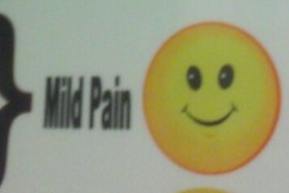 toastoat:  me constantly: