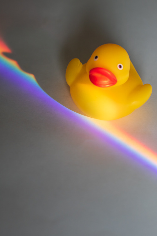 Little duckling loves rainbow colours The whole series