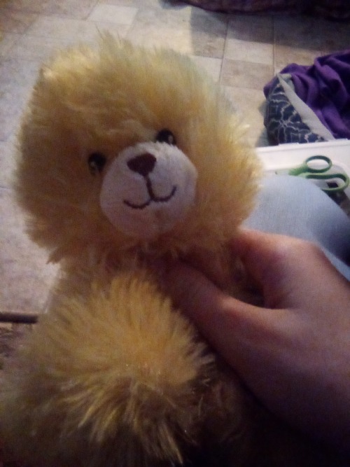I Made Some Poor Dollar Store Bear Into Golden Freddy