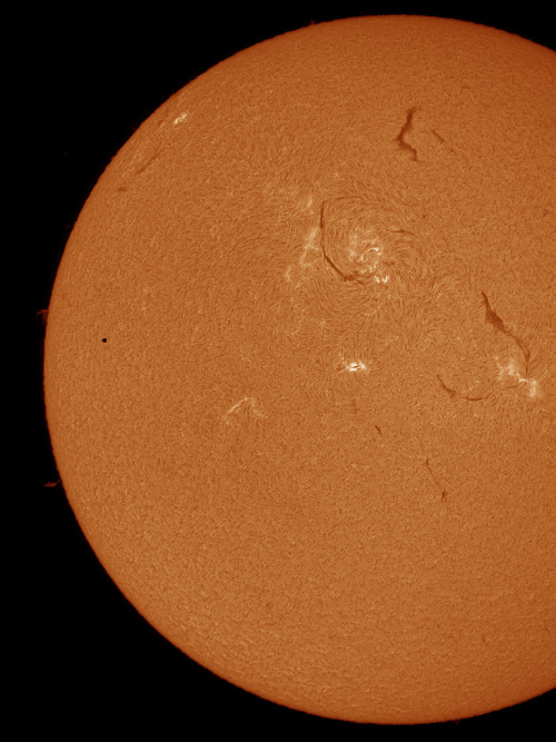 humanoidhistory: See that little black dot on the left? That’s planet Mercury in transit across the face of our humongous Sun. Observed by Howard Brown-Greaves. Via NASA/APOD.