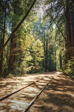 r2&ndash;d2:  they rode him out of town on a rail | felton, ca by (elmofoto) 