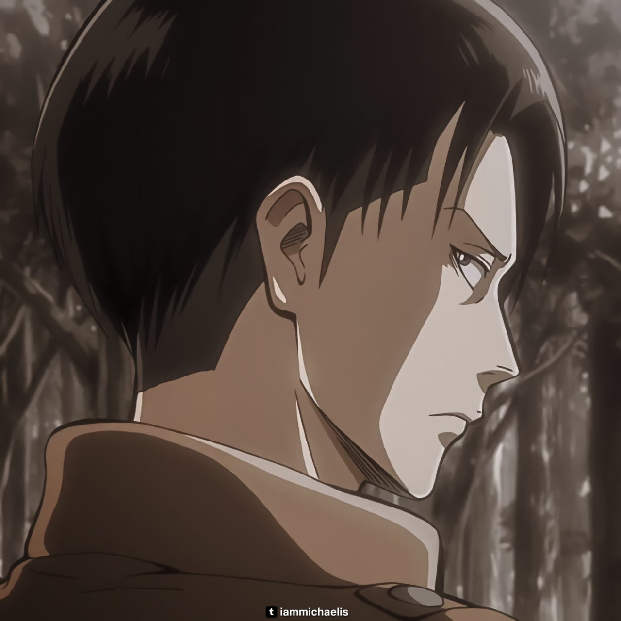 Levi Ackerman, icons in 2023