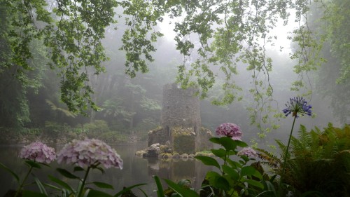 Parque Da Pena, Portugal