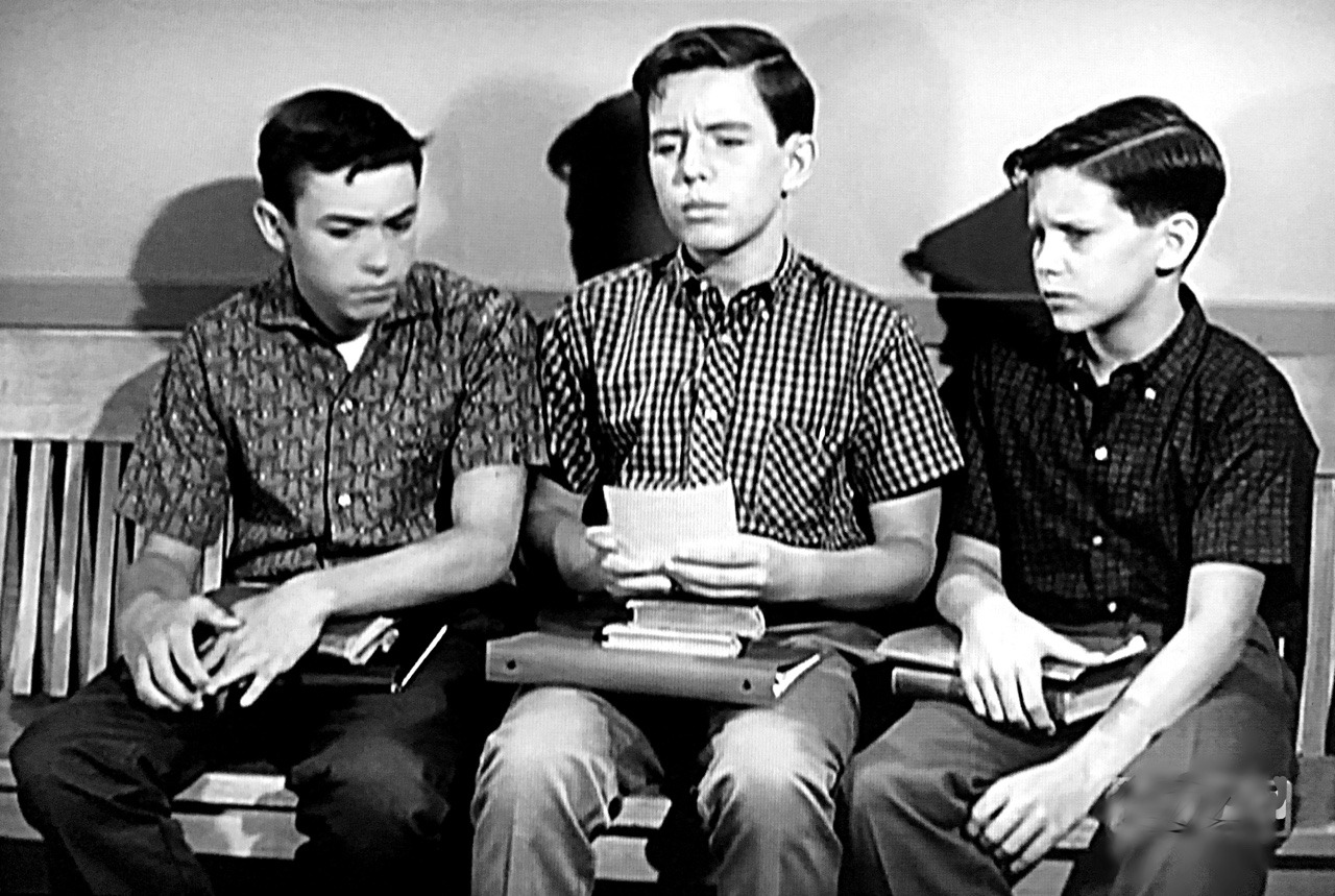 Tim Matheson Leave It To Beaver