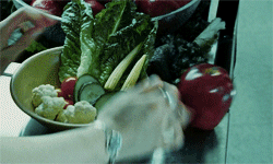 sourdirewolf:  Twilight Challenge [1/30] | Favorite book;  Twilight 