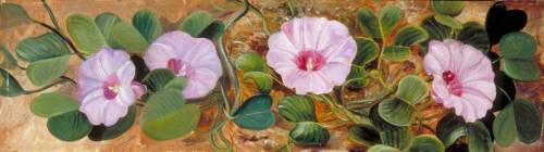 artist-marianne-north: A Sand-Binding Plant of Tropical Shores, Marianne North