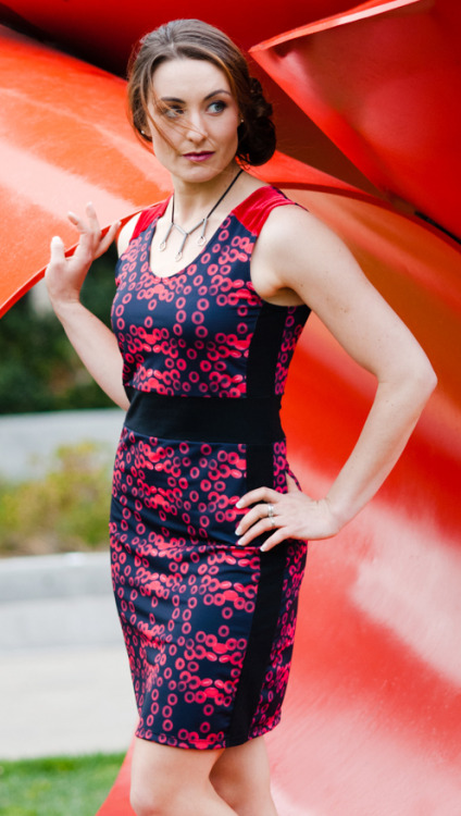 Red Blood Cell dress.  Did you know ~ one quarter of the cells in the human body are Red Blood 