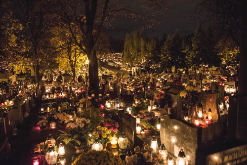 lamus-dworski: Podgórski Cemetery in Kraków, Poland on the evening of All Saints Day. 