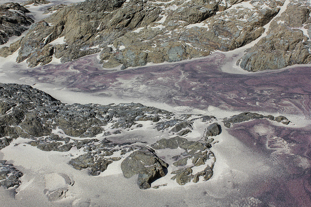 fohk: Pfeiffer Beach by Vending Machine Rings on Flickr. 
