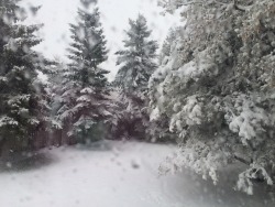 What the fuck is this shit?! It was literally +20 yesterday :( welcome to alberta folks