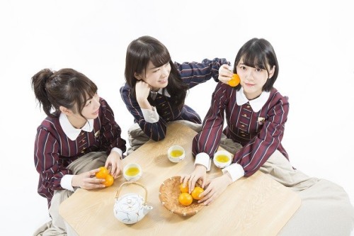 omiansary:  Nogi-chanshttp://news.walkerplus.com/article/96891/