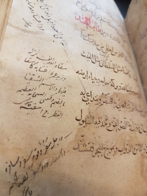 LJS 459 - Sirr al-asrār. = سر الاسرارHere we have an early copy of the long form of this popular tr