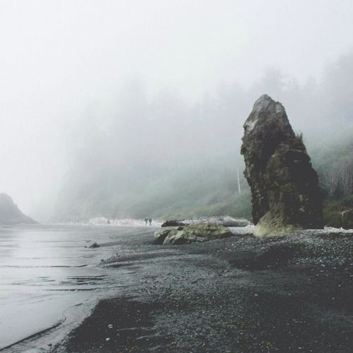 alia-musiva:Aesthetic for a selkie who loved nighttime and rocky beaches and misses the sea and her 