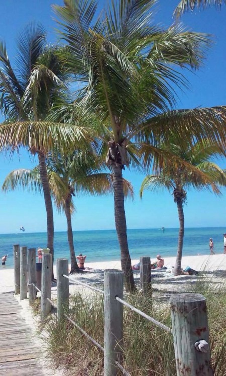 islandjon:  Not just body parts. IslandJon has the entire hot package of the nastiest, tastiest real men and gorgeous boys. In our tropical paradise.  http://IslandJon.tumblr.com - only the best!   FOLLOW and REBLOG to join the party!