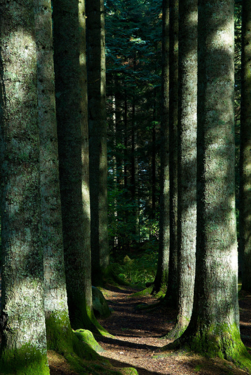 eartheld:  mostly nature