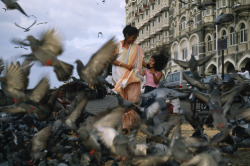 unrar:    Pigeons flutter around a woman in a sari and her daughter, India, William Albert Allard.  