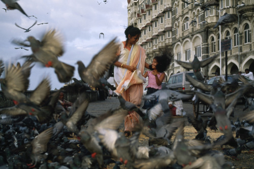 unrar: Pigeons flutter around a woman in a sari and her daughter, India, William Albert Allard. 